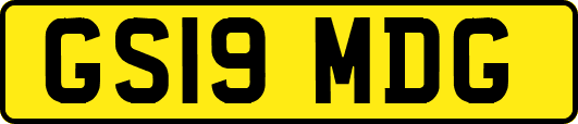 GS19MDG