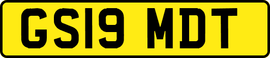 GS19MDT