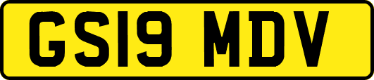 GS19MDV