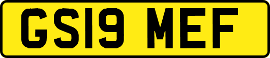 GS19MEF