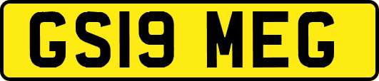 GS19MEG