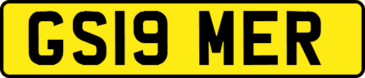 GS19MER