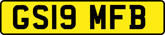 GS19MFB