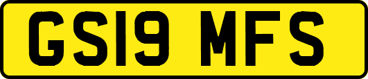 GS19MFS