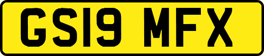 GS19MFX