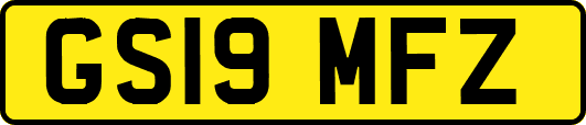 GS19MFZ