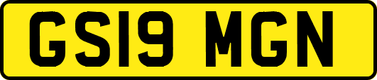 GS19MGN