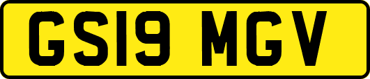 GS19MGV