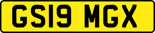 GS19MGX