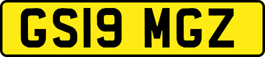GS19MGZ