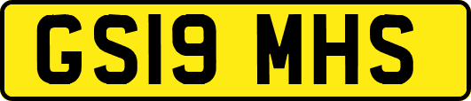GS19MHS