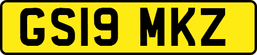 GS19MKZ