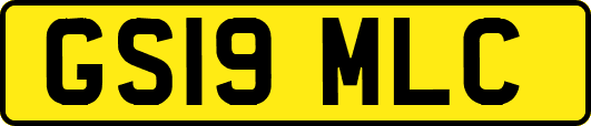 GS19MLC