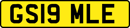GS19MLE