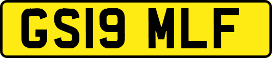 GS19MLF