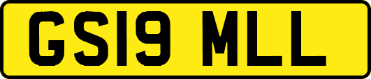 GS19MLL