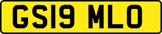 GS19MLO