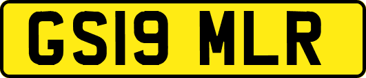 GS19MLR