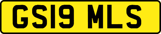 GS19MLS