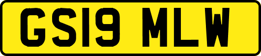 GS19MLW
