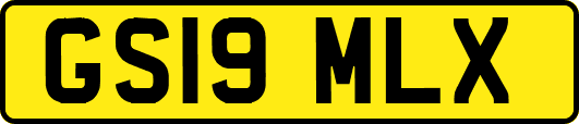GS19MLX
