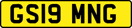 GS19MNG