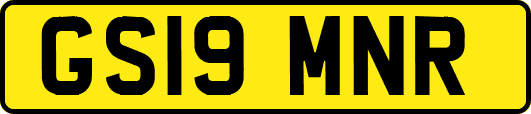 GS19MNR