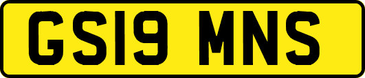 GS19MNS