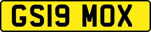 GS19MOX