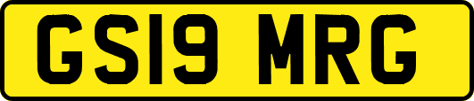 GS19MRG