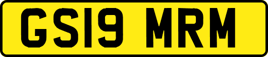 GS19MRM