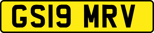 GS19MRV