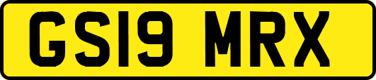 GS19MRX