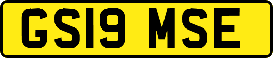 GS19MSE