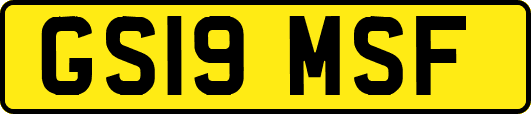 GS19MSF