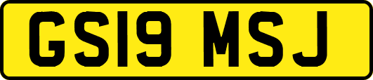 GS19MSJ