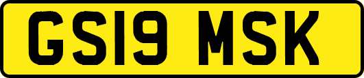 GS19MSK
