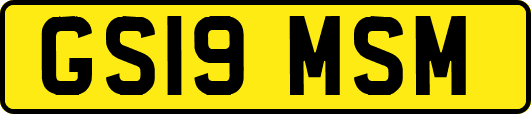 GS19MSM