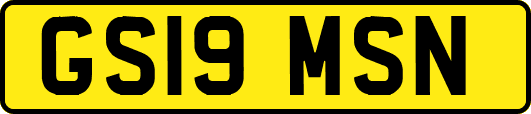 GS19MSN