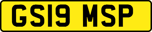 GS19MSP