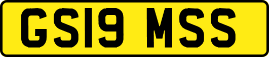 GS19MSS