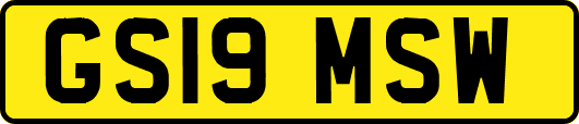 GS19MSW