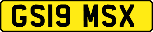 GS19MSX