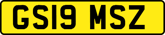 GS19MSZ
