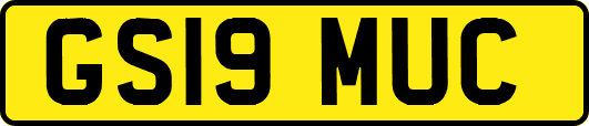 GS19MUC