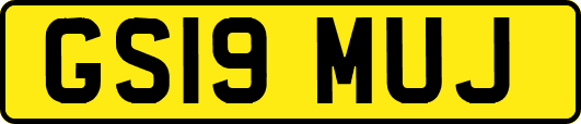 GS19MUJ