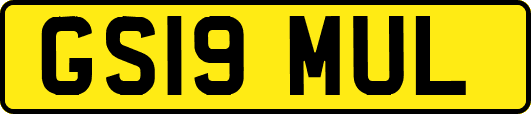 GS19MUL