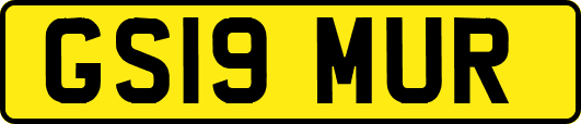 GS19MUR