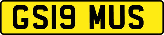 GS19MUS
