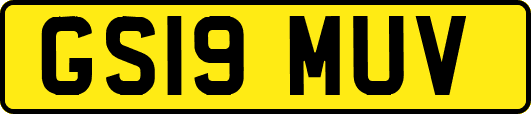 GS19MUV